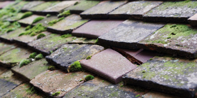Stevenage roof repair costs